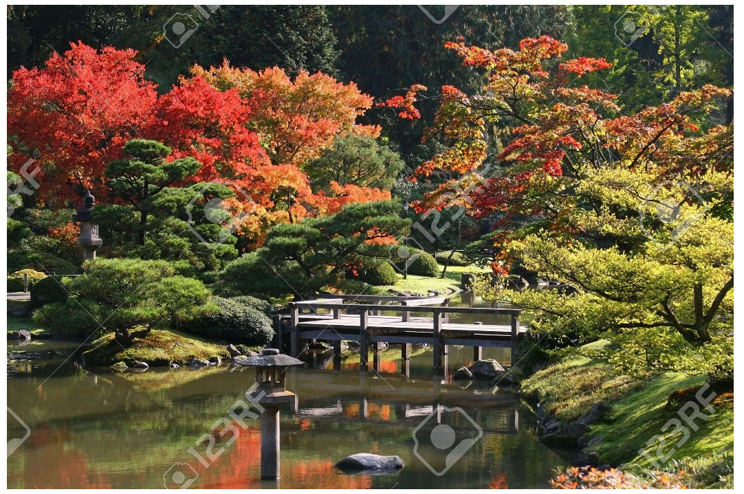 Japanese Garden